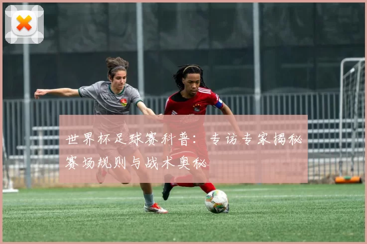 世界杯足球赛科普：专访专家揭秘赛场规则与战术奥秘
