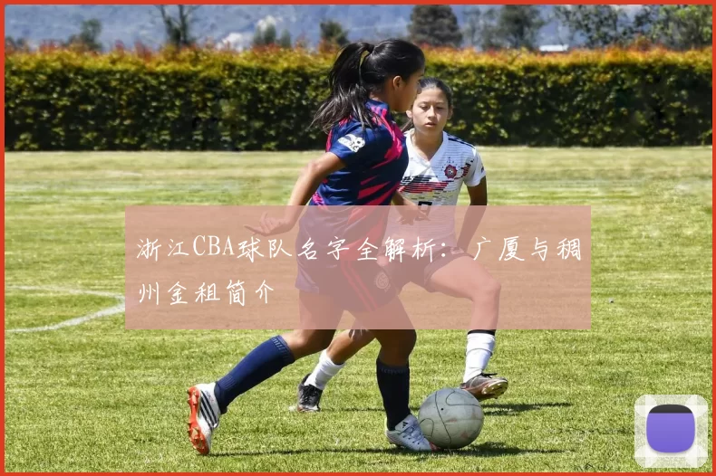 浙江CBA球队名字全解析:广厦与稠州金租简介