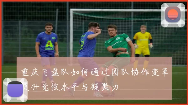 重庆飞盘队如何通过团队协作变革提升竞技水平与凝聚力