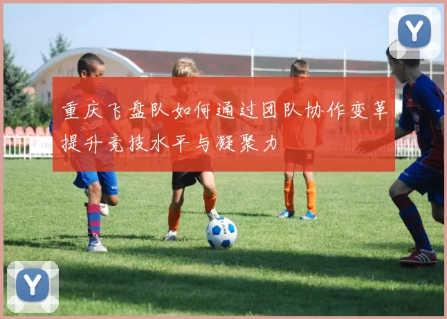 重庆飞盘队如何通过团队协作变革提升竞技水平与凝聚力
