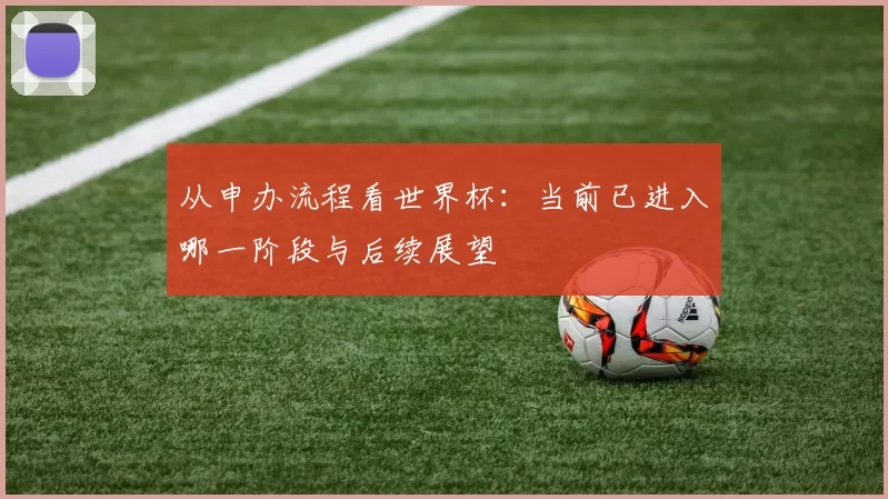 从申办流程看世界杯:当前已进入哪一阶段与后续展望