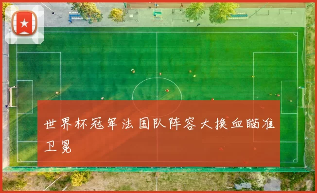 世界杯冠军法国队阵容大换血瞄准卫冕